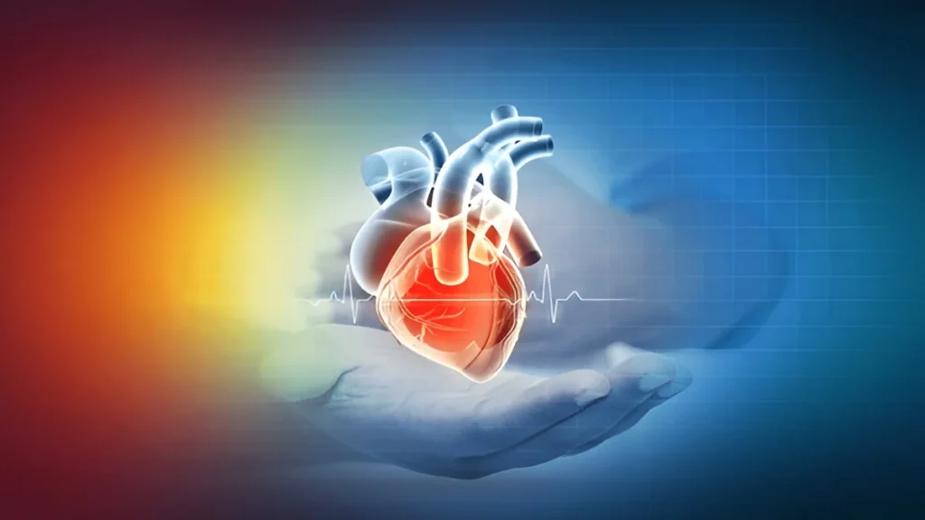 Vitamin K benefits